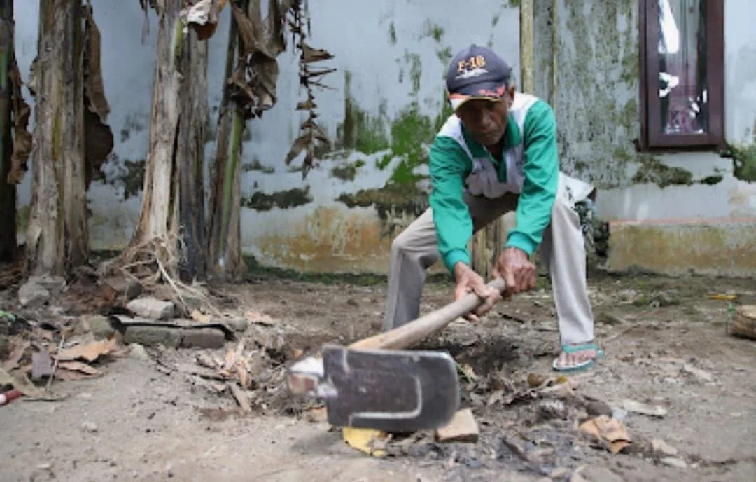 Tradisi lama yang kembali, selamatkan bumi dari limbah organik