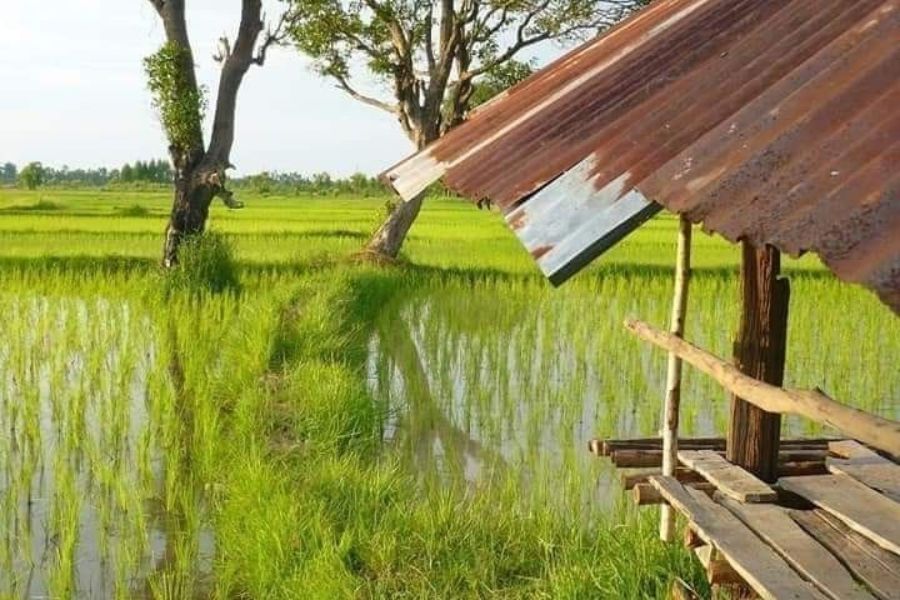 dari Gotong Royong hingga Teknologi Pertanian Modern